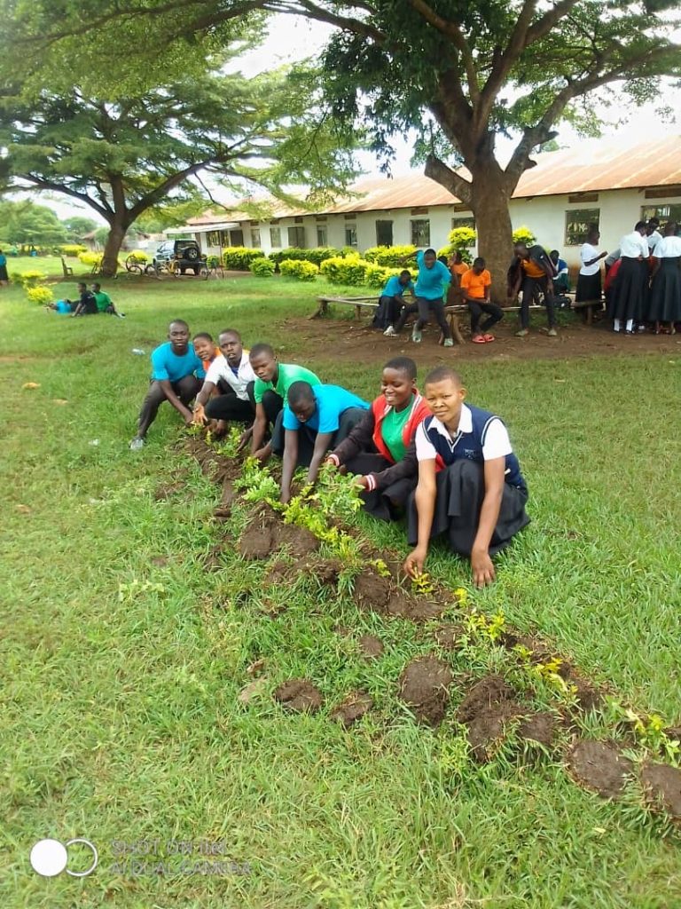 image7 - Copy